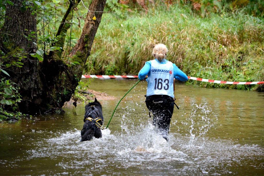 Hund und Mensch rennen durch Wasser