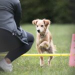 Alltagstraining - Fürther Stadtwald