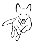 Erste Hilfe für den Hund
