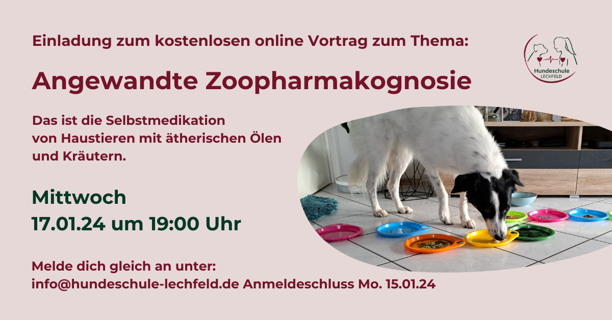 Einladung zum Kostenlosen Webinar - Angewandte Zoopharmakognosie