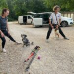 Sommersport Caniwalk Neustadt A.d. Aisch