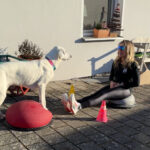 CARNICROSS SPECIALS Langenzenn