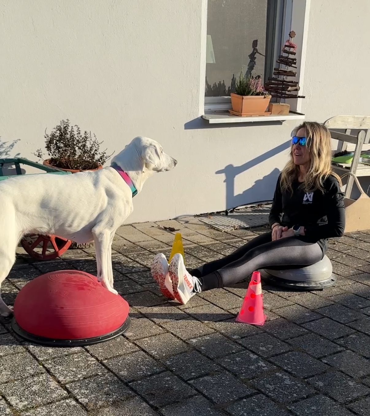 CARNICROSS SPECIALS Langenzenn